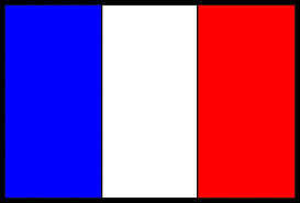 Bandiera Nautica Francia Cm.20x30